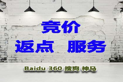 SEM服务助力电商行业案例解读